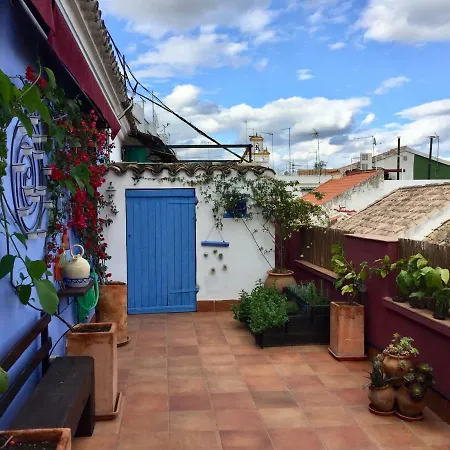 Atico Deluxe San Basilio *